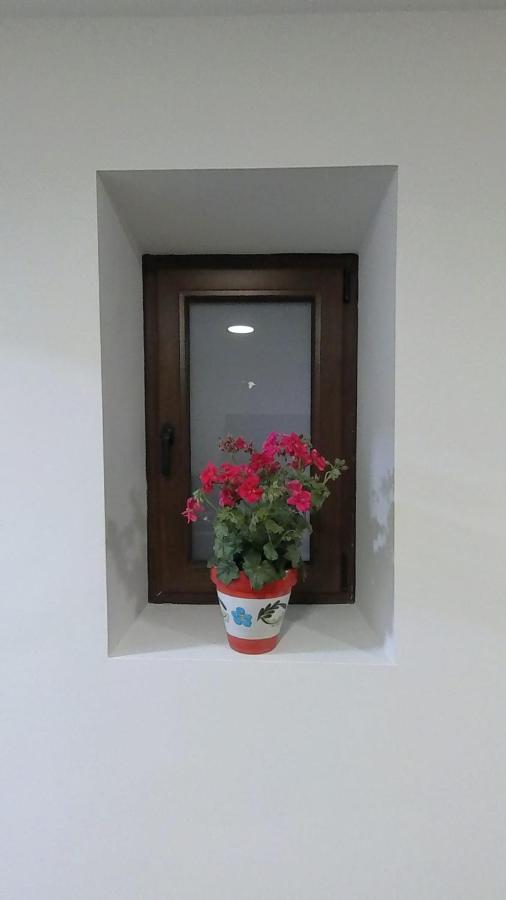 Alojamiento Los Naranjos Piscina Y Parking Gratuito Jaen Luaran gambar
